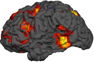 fMRI and psychophysiology data