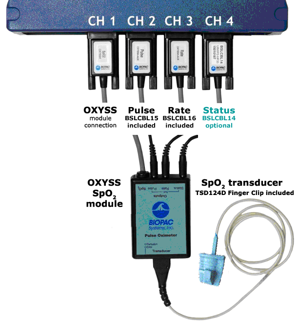 Human Oximetry System