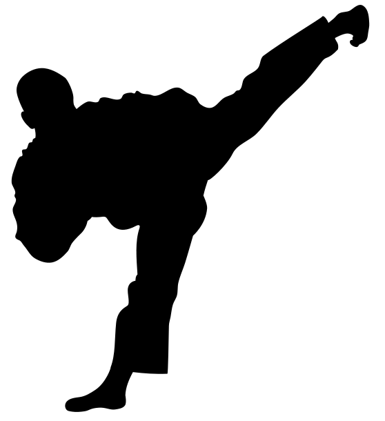 Taekwondo and Muscle Fatigue Analysis