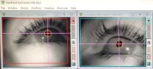 Eye Tracking software