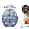 Cogntive State EEG Analysis