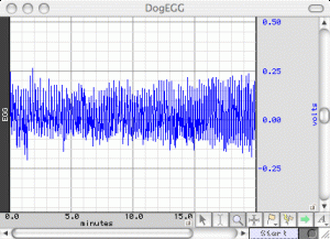EGG data from a dog