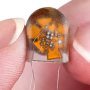 implantable EEG telementry sensor