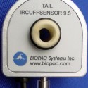 tail BP cuff sensor