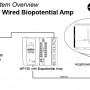 MP150 with Biopotential Amp and Electrodes