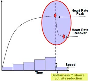 BioHarness activity level